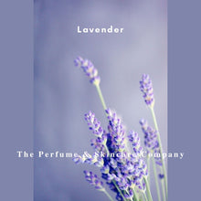 Load image into Gallery viewer, Lavender 12ml