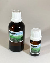 Load image into Gallery viewer, Robertson Rainforest ... Home Aroma Oil ... 50ml
